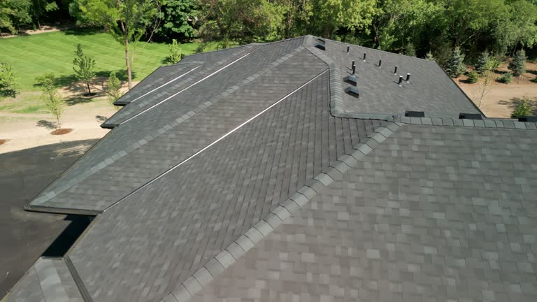 Best Roof Ventilation Installation  in Tornillo, TX