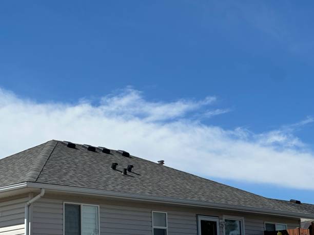 Steel Roofing in Tornillo, TX